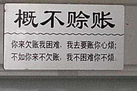 齐河为什么选择专业追讨公司来处理您的债务纠纷？